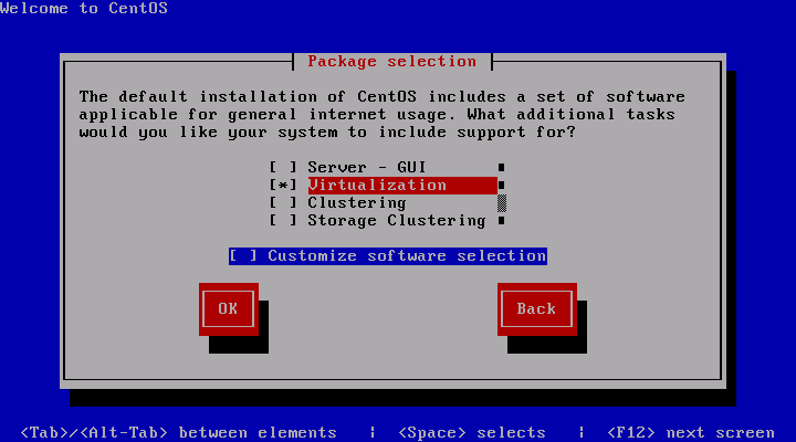 Screenshot from the text-based installer